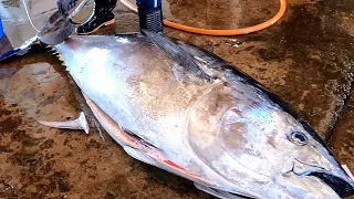 Extremely Gorgeous Giant Bluefin Tuna Super Cutting Skill