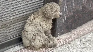 Sitting exhausted in front of the clothing store, she looked around with tired eyes for help