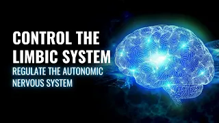 Control The Limbic System | Regulate The Autonomic Nervous System | 528 Hz Isochronic Tones