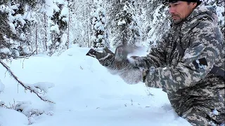 ПОЙМАЛ РУКАМИ ЧТОБЫ ПАТРОН НЕ ТРАТИТЬ / ОХОТА НА БОРОВУЮ ДИЧЬ С МЕЛКАШКОЙ / ТАЙГУ ЗАВАЛИЛО СНЕГОМ.