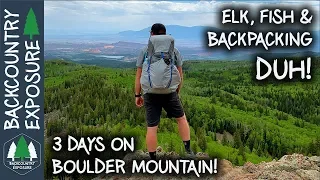 Incredible Backpacking And Trout Fishing! | Boulder Mountain, Utah