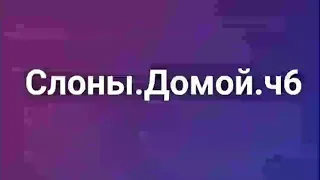 На краю Ойкумены(часть6) Путь на Родину!