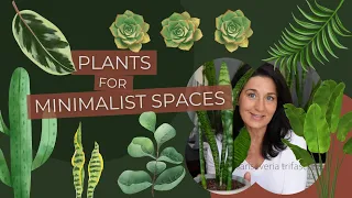 Minimalist Style | How To Make a Design Statement With Plants | Interior Design