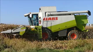 Claas lexion 470 - Loonwerken Heyvaert - Mais dorsen - Corn harvest - Mais dreschen