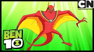 Poulet à Poulet-itza, 2ème partie : Serpent à plumes | Ben 10 Français | Cartoon Network