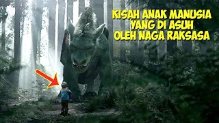 Kisah Seekor Naga Yang Mengasuh Seorang Anak Manusia | Alur Cerita Film