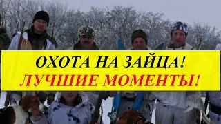 Охота на зайца!ЛУЧШИЕ моменты