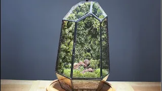 Making a terrarium moss wall - Complete step by step!