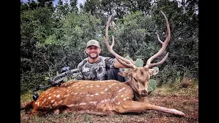 My First Spot and Stalk Axis Deer Hunt| Texas Free-Range