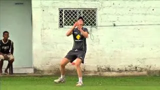 Ellyse Perry - hand-stand catch