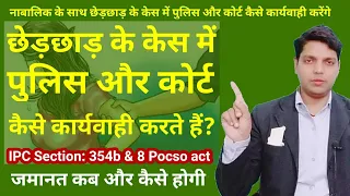 छेड़छाड़ के मामले में पुलिस और कोट कैसे कार्यवाही करते हैं | IPC section 354 & 8 Pocso | Afzal LLB |