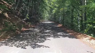 Summer Drive on the wildest road in Romania