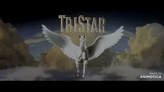 Dreamworks Pictures/Tristar Pictures/Mtv Films/Happy Madison 2005