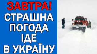 ПОГОДА НА 4 СІЧНЯ : ПОГОДА НА ЗАВТРА