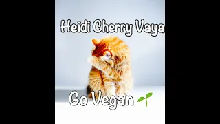 Fun Bedtime Story For Kids | Heidi, Cherry & Vaya Go Vegan