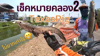 เช็คหมาย คลอง2 คลองหลวง ไม่ง่ายไม่ยาก  #texasrig #ตกปลา