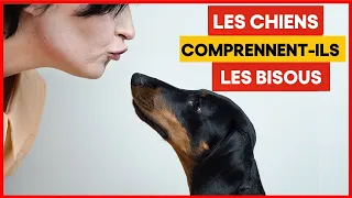 Les Chiens comprennent-ils les bisous et les câlins ? | Incroyablement Top