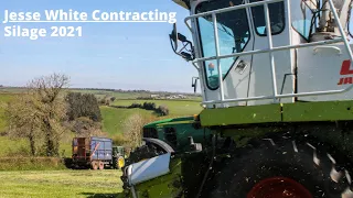 Silage 2021 - Jesse White Contracting - Claas  Jaguar 690