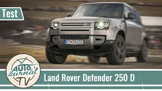 Land Rover Defender 110 D250 X Dynamic SE: Multitalent