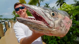 They CAUGHT a GIANT! Deep Sea Catch n Cook