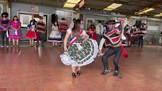 Campeones nacionales de cueca adulto Arica 2014 Temuco