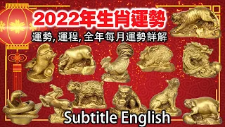 2022年🐯生肖運勢,運程及全年每月運勢詳解 🐯虎 🐵猴 🐍蛇 🐷豬 要留意小心