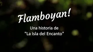 FLAMBOYAN! Una historia de  “La Isla del Encanto”