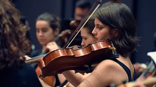 Donizetti's "Una Furtiva Lagrima" for viola and orchestra