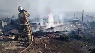 Пожар в деревне Анохино, Меленковского района (26-03-2020)