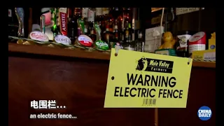 UK pub installs ‘social distancing’ electric fence