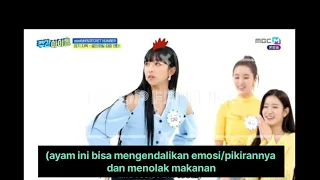 (Sub Indo) Weekly Idol Eps. 566 SECRET NUMBER and woo!ah! || part 2 (impersonation)