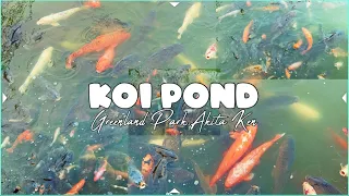 THE BEST KOI POND IN AKITA-KEN,JAPAN#dailyvlog #koi #koifish #nature #naturelovers