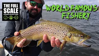 World Famous Fishery | Penstock Lagoon Tasmania | The Full Scale
