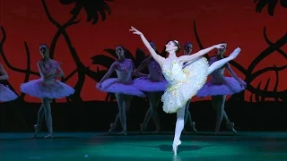 Don Quixote – The Queen of the Dryads, Act II (The Royal Ballet)