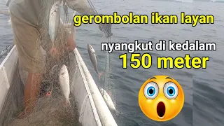 jaring ikan di kedalaman 150 meter dapat gerombolan ikan karan