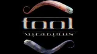 Tool - Vicarious Cover (No Vocals)