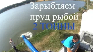 Запускаем в пруд в Воронежской области карпа от 2 килограмм в пределах двух тонн.
