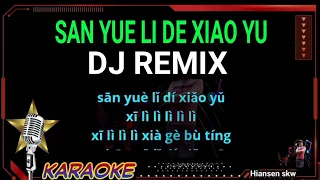 San yue li de xiao yu - DJ REMIX - Karaoke no vokal (cover to lyrics pinyin)