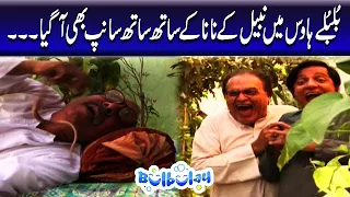 Bulbulay House Mein Nabeel Ke Nana Ke Sath Sath Saanp Bhi Agaya - Mehmood Sahab | Bulbulay