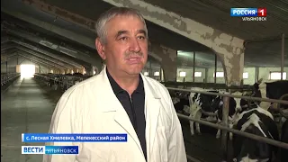 Наладили молочное производство