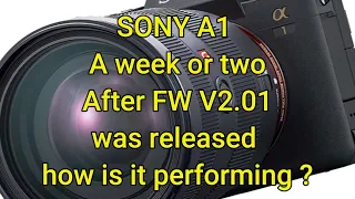 Sony A1 FW v2.01 update how is it performing ?