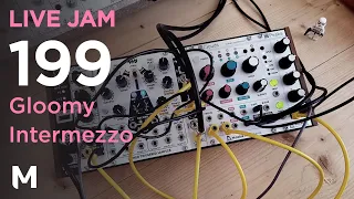 Live Jam #199 - Gloomy intermezzo with my modular sampler case