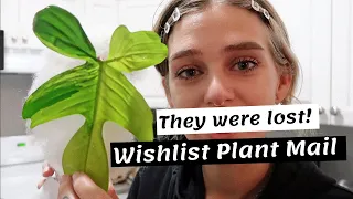 Huge Wishlist Plant Unboxing (after two weeks lost in the mail!) 😱