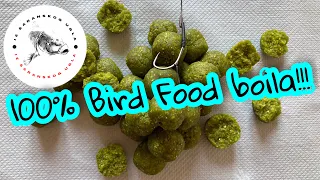 * 100% Bird food boila * Nemoguce... ili da?! *