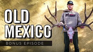 2 MEXICAN Mule Deer Bucks Hit The Ground - BONUS EPISODE