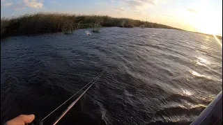 CHOPPO Action on the Delta