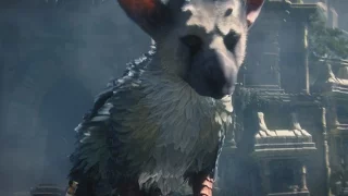 THE LAST GUARDIAN Gameplay Walkthrough Part 1 (Introduction)