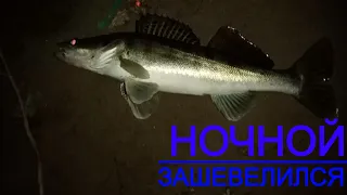 Уже и НЕ НАДЕЯЛСЯ! Ночной СУДАК с берега