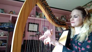 " Hobbiton" Lord of the Rings on the Harp