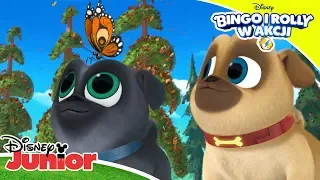 🦋 Mopsiakowe przygody | Bingo i Rolly w akcji | Disney Junior Polska